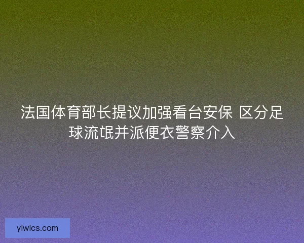 法国体育部长提议加强看台安保 区分足球流氓并派便衣警察介入